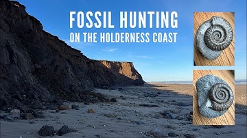 Fossil hunting on the Holderness Coast. Some great ammonite finds & other fossils! Fossil prep too!