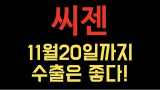 주식으로10억벌기! 씨젠 ㅣ씨젠주가 ㅣ바이오 ㅣ진단키트 ㅣ공매도 ㅣ주린이 screenshot 2