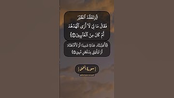 سورة النمل الآية ٢٠ الى ٢٣ بصوت الشيخ محمد صديق المنشاوي