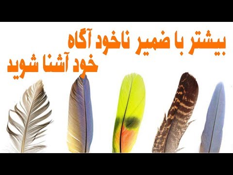 تصویری: چگونه روحیه خود را تعدیل کنیم