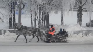 ЯНВАРЬ МОРОЗНЫЙ...  УСТЬ-КУЛОМ,  06 - 08 января 2024 г. ВИДЕОЗАРИСОВКА.