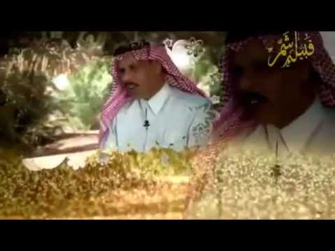 من تاريخ زوبع من قبيلة شمر صوت سنجاره