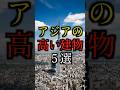 【日本は】アジアの高い建物5選#雑学#豆知識#shorts