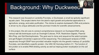 Rithika Senthikumar explains the duckweed lab in 60 seconds!