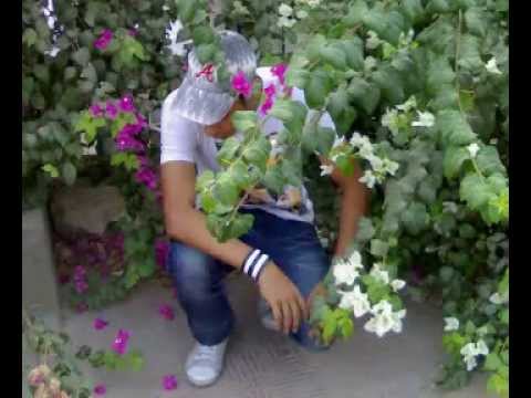 عمرو مانو معقول للدرجه دي يا قلبي 01287014280
