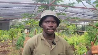 Kitchen garden at a Safari camp in Nairobi National Park. OLOLO LODGE