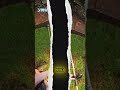The Oddly Satisfying Art of a Job