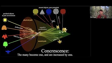 "Whitehead on the Ingression of Novel Form" by Matt Segall