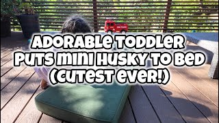 Baby Girl Sings Mini Husky To Sleep (Cutest Ever)