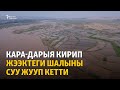 Кара-Дарыя кирип жээктеги шалыны суу жууп кетти