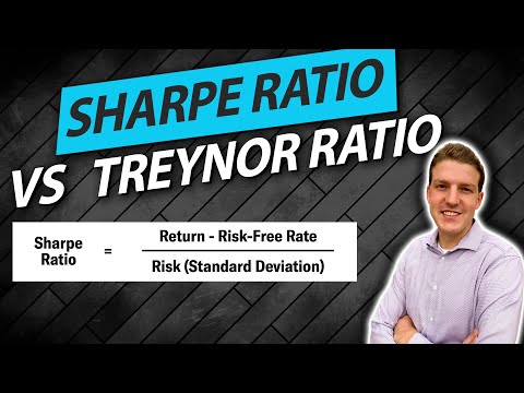 Video: Jak interpretovat treynorův poměr?