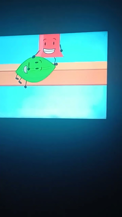 ولأول مرة نشاهد على التلفزيون