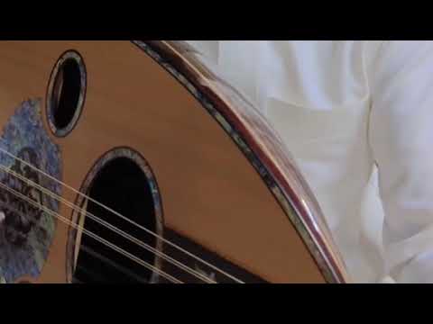 بوظبي دار الظبي فنان يوسف 