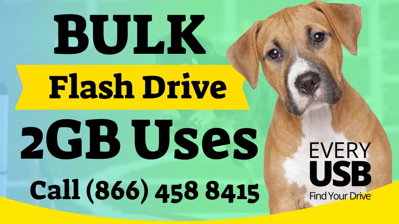 2GB Bulk Flash Drive Uses | Call (866) 458 8415 | Bulk USB 2GB Drives ...