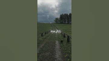 سورة القصص|30-31|القارئ:#ياسر_الدوسري #قران #quran #راحة_نفسية #قران_كريم #تلاوة #آية  #تلاوة_خاشعة