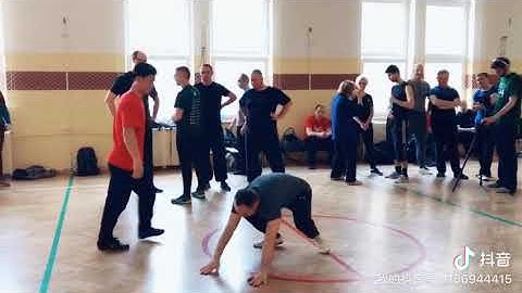 April 2019 Chen Zhonghua Gdynia Practical Method Workshop Push Hands