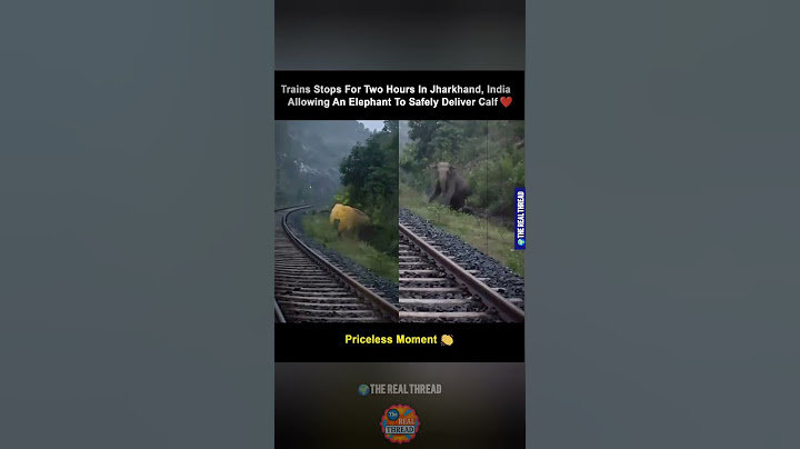 Humanity Still Exists 😍