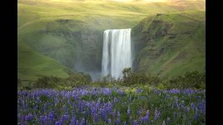 Focusing your landscape photos