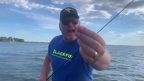 Catching crappies with Mike's Minute