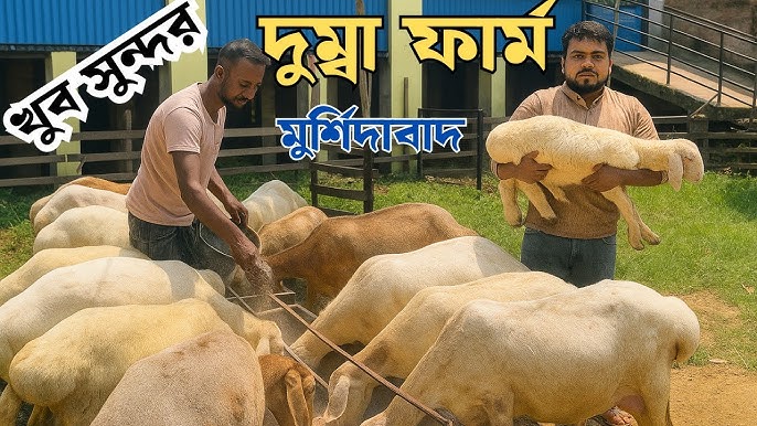 Tik emas surat Semiz odamlarning fotosuratlari va BDSM