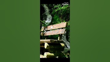 تلاوة هادئة{كيف تكفرون بالله وكنتم أمواتاً فأحياكم}