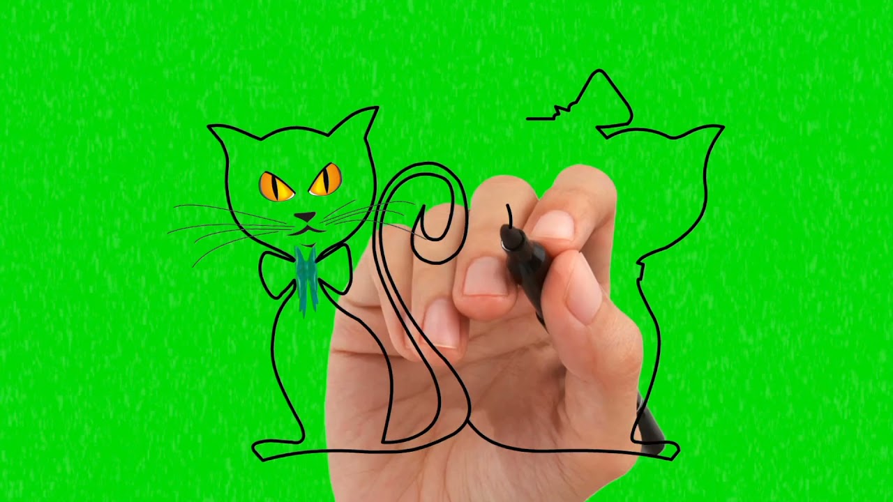Green Screen Bacground Effect Cat Drawing 2 | Animated Cats in Love | Chroma Key | Copyright Free