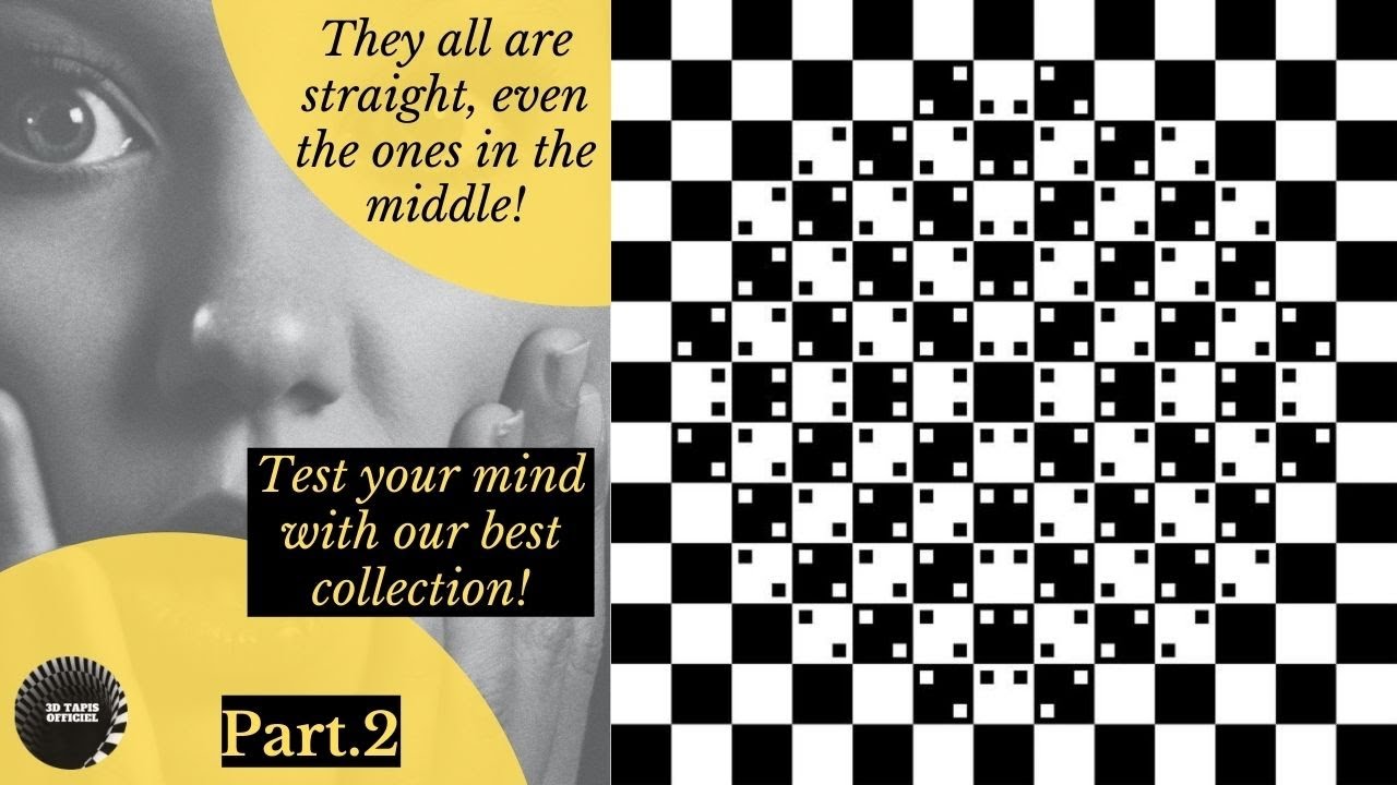 24/24 Mind Blowing Optical Illusions by 3D Tapis Officiel™|