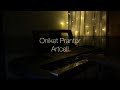 Oniket Prantor-Artcell | Piano Cover with Flute | Tahsin Hossain