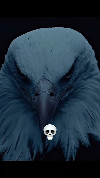Animal Death Stare 💀🗿