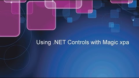 Using .NET Controls with Magic xpa