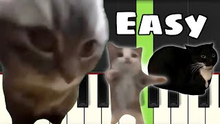 3 Famous Cat Memes | EASY Piano Tutorial