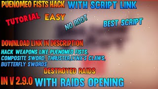SF2 HACKING PUENOMEO FISTS MOVES
