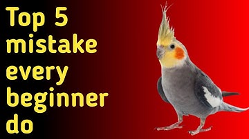 What 5  mistake every beginner do🤔