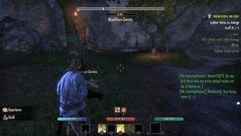 New Weird And Funny Glitch Found In ESO. Is This A New Motif Style? #glitch #exploit #teso.
