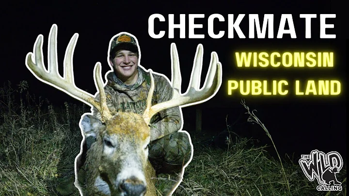 Wisconsin Public Land Marsh Buck - Down Goes the Kingpin