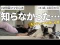 【モンペ確定】幼稚園に金八先生が来た話。