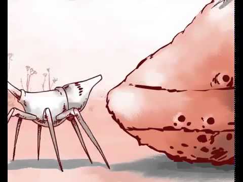 Мультипотам: Назубок (мультики)