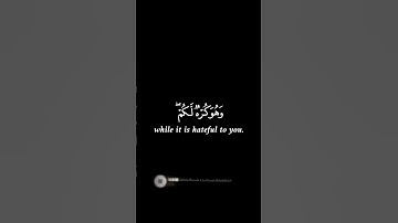 كتب عليكم اقتال||🌿ياسر الدوسري شاشة سوداء سورة البقرة♥️ #قران_كريم #yasseraldosary #شاشة