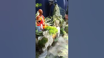 thầy thích Minh tuệ ngồi thiền _ làm tiểu cảnh hòn non bộ đẹp