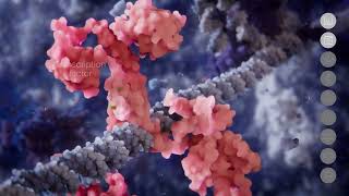 Scientific animation for drug-hunting platform. Scorpion Therapeutics
