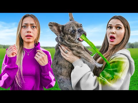 Babysitting My BEST FRIENDS Dog for 24 Hours (Threw up)