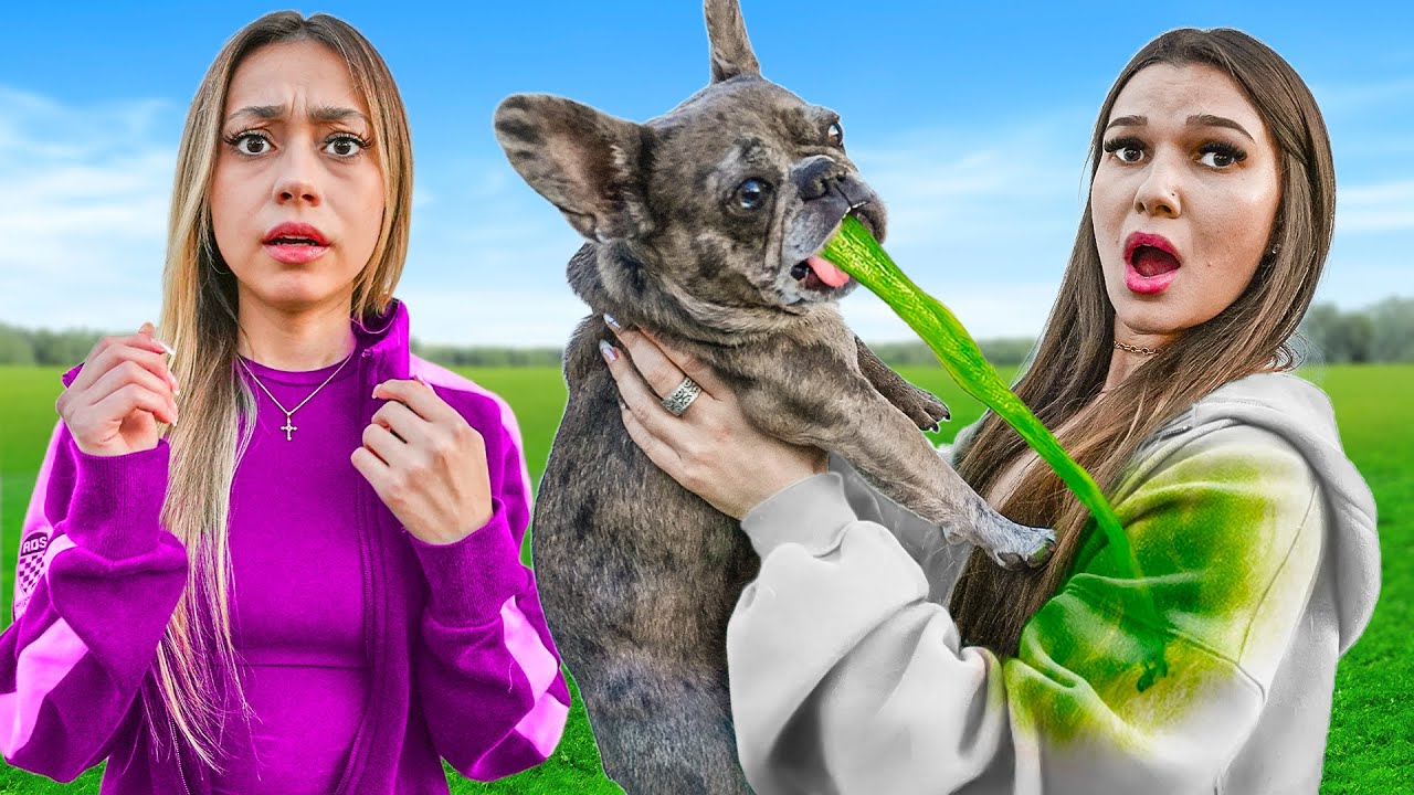 Babysitting My BEST FRIENDS Dog for 24 Hours (Threw up)