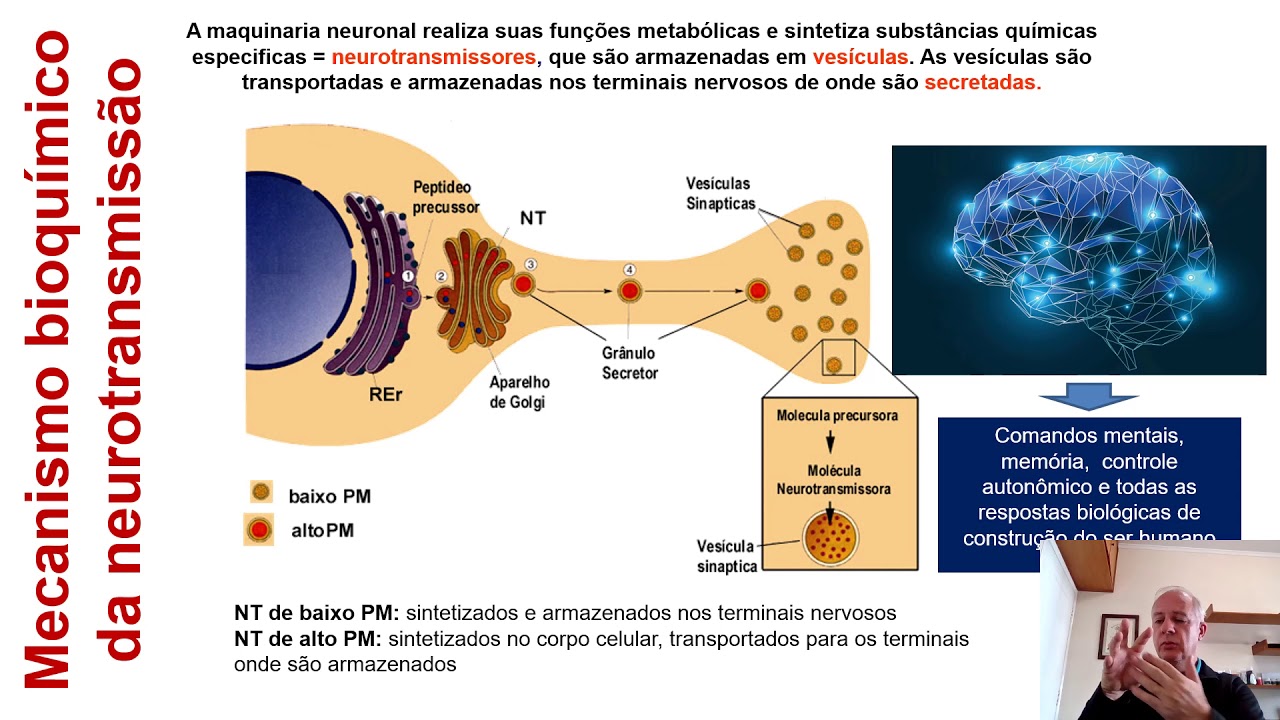 Aula 1 Fisiopatologia dos sistemas parte 2