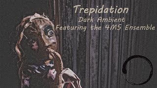 Trepidation - Modular/VCV Hybrid featuring the 4MS Ensemble, Disting MK4, and Prism Rainbow.