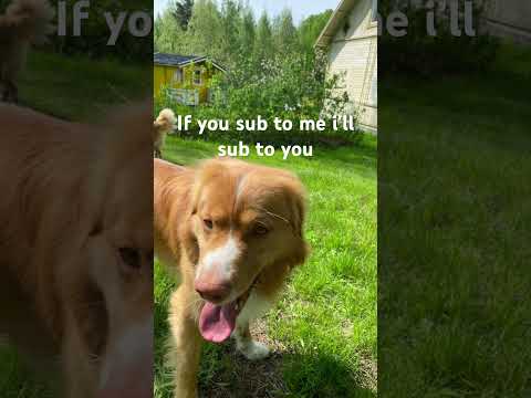Sub2sub#sub2sub