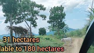 31 Hectares Expandable To 180 Hectares Lot 4 Sale 09167025307