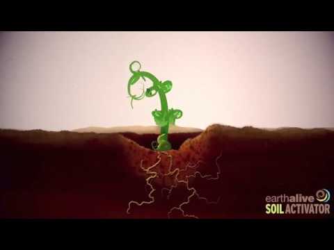 Video: Hvad er jordaktivator?