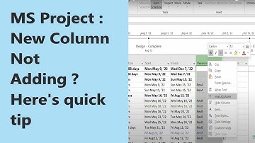 MS Project : How to add new column in a project plan | Percentage Complete Column