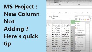 MS Project : How to add new column in a project plan | Percentage Complete Column