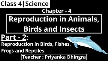 Class 4 | Chapter 4 : Reproduction in Animals, Birds and Insects(Part-2)